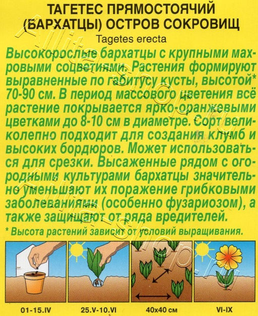 Бархатцы Остров сокровищ прямостоячие 0,1г (Аэлита)