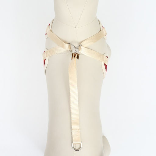 Комплект с мягкой шлейкой Клетки, размер M, поводок, 120 х 1,5 см, ОГ 34-66 см, красный - Пижон фото 7