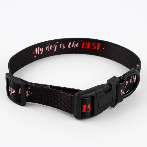 Ошейник My dog is the best, застёжка - фастекс, 2 см 25-40 см - Пушистое счастье фото 3