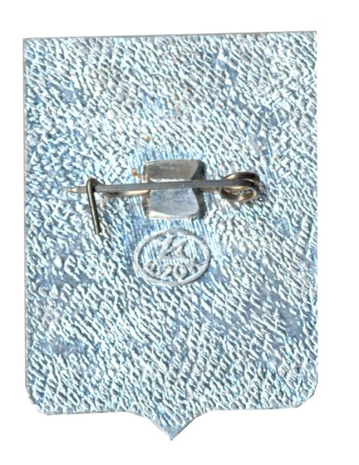 Значок Вольск