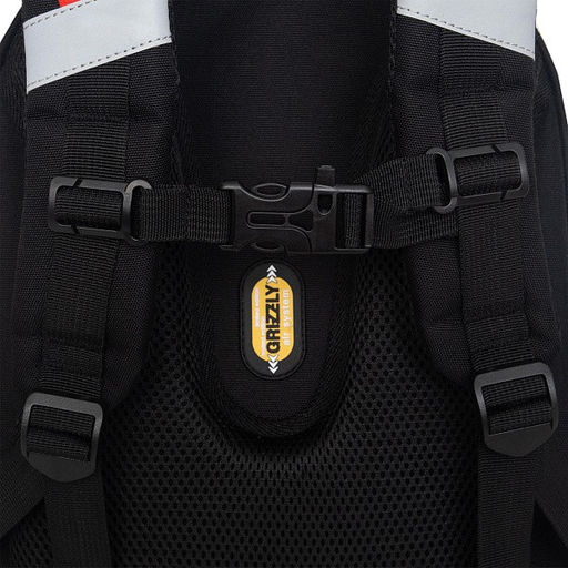 RAz-587-17 Рюкзак школьный - Grizzly фото 21