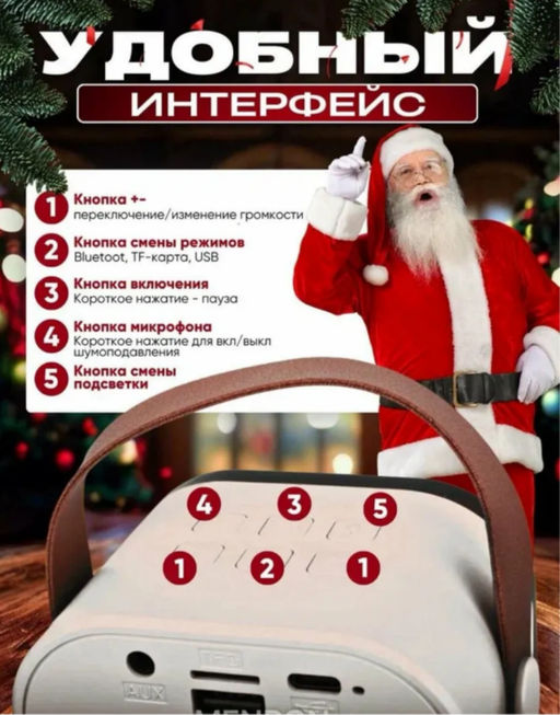 Музыкальная беспроводная колонка с двумя микрофонами (3639)