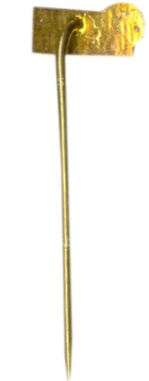 Значок рекламный Triumf Sokolov