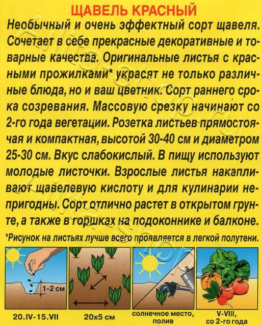 Щавель Красный 0,05г (Аэлита) - Самарские семена фото 2