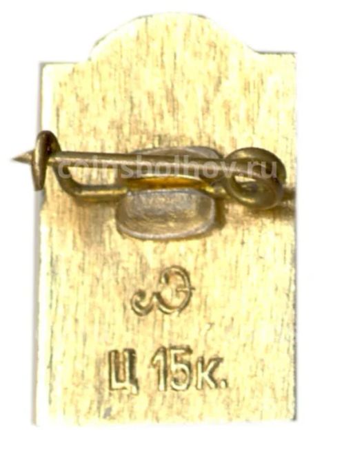 Значок Петродворец