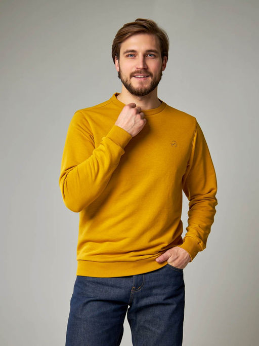 Толстовка мужская арт. 05198