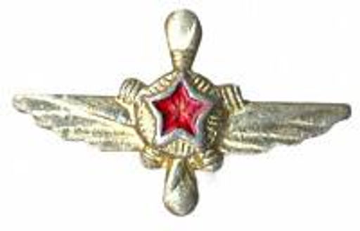 Значок Эмблема Военно-воздушные силы техник