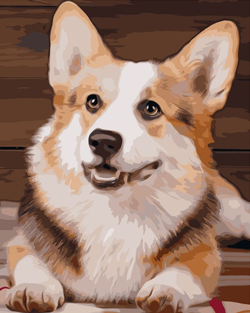 Картина по номерам на холсте и подрамнике 40х50 см