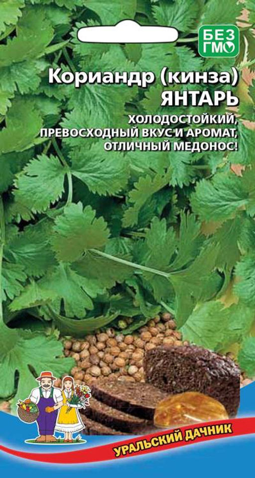Кориандр (Кинза) ЯНТАРЬ Высокое содержание витаминов, минералов и эфирных масел! Добавка к хлебу и кондитерским изделиям, в маринады, при приготовлении пряных семей!