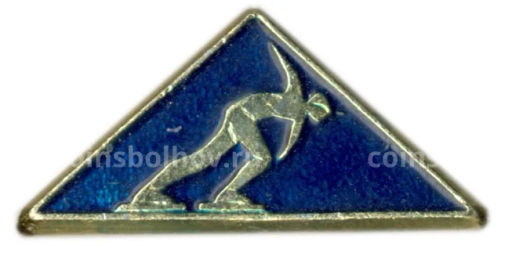 Значок Коньки