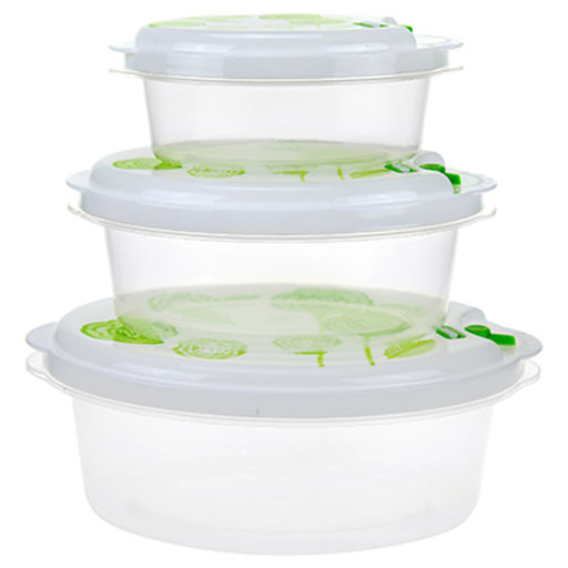 Контейнер пластмассовый Розы набор 3 шт: 0,3л - 13х9,7х5см, 0,7л - 16,5х12,2х6,3см, 1,3л - 20,2х15,2х7,7см, с пароотводом, для хранения в холодильнике, цвета микс (Китай)