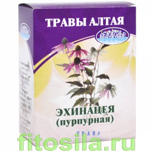 Эхинацея пурпурная, трава, 50 г (коробочка), чайный напиток