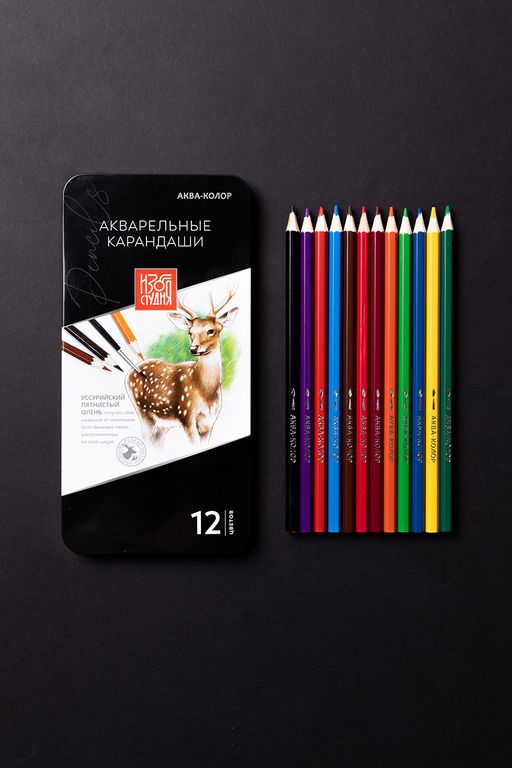 Аква-колор Изостудия IZO-WCPM12 Набор акварельных карандашей заточенный 2 х 12 цв. в металлической коробке