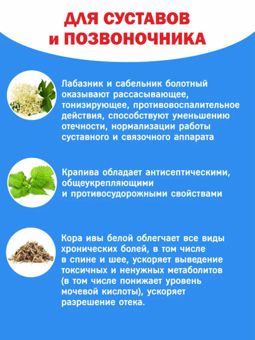 Бад Фитосбор Фитол-2 ХОНДРОПРОФ Алфит Плюс 1811  фото 7