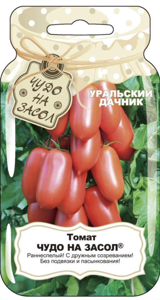Томат ЧУДО НА ЗАСОЛ Раннеспелый! С дружным созреванием! Без подвязки и пасынкования! - Уральский дачник фото 4