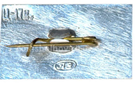 Значок Старая Русса