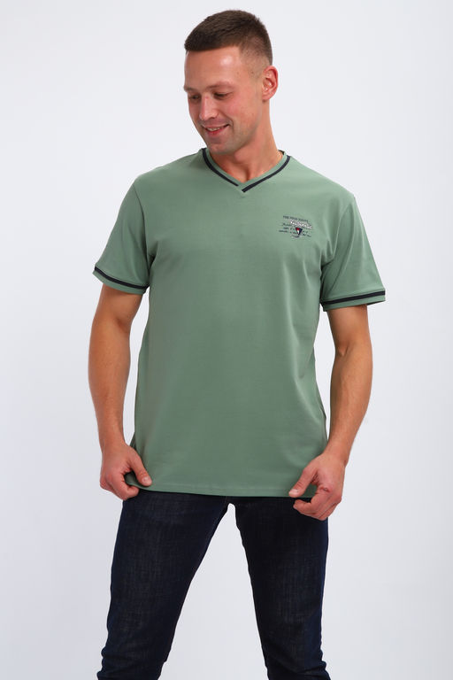 Футболка мужская 059