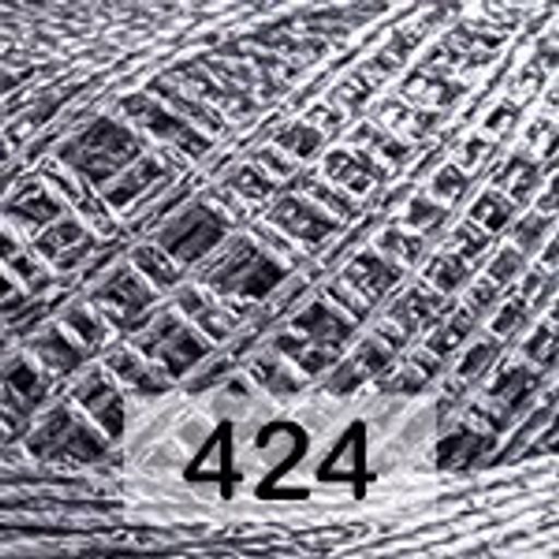 CAMELLIA - Yarnart фото 14