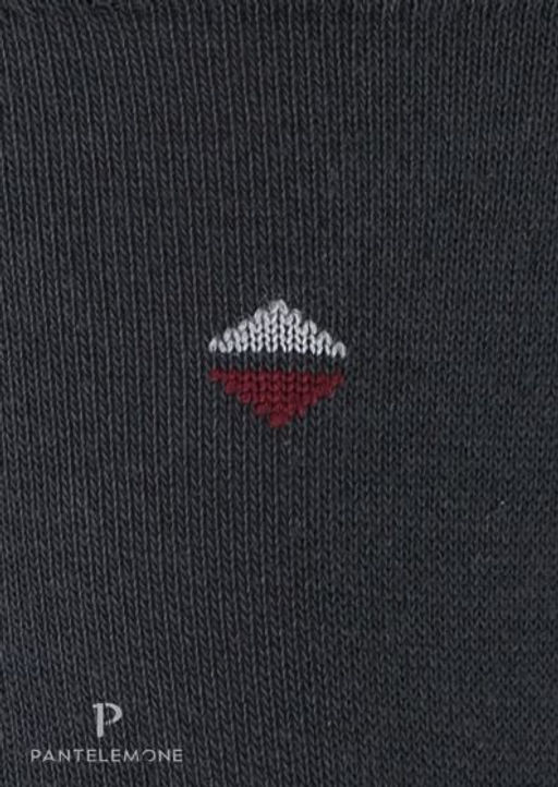 /10 пар. Мужские носки Classic PN-110