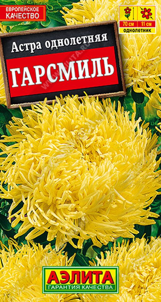 Астра Гарсмиль коготковая