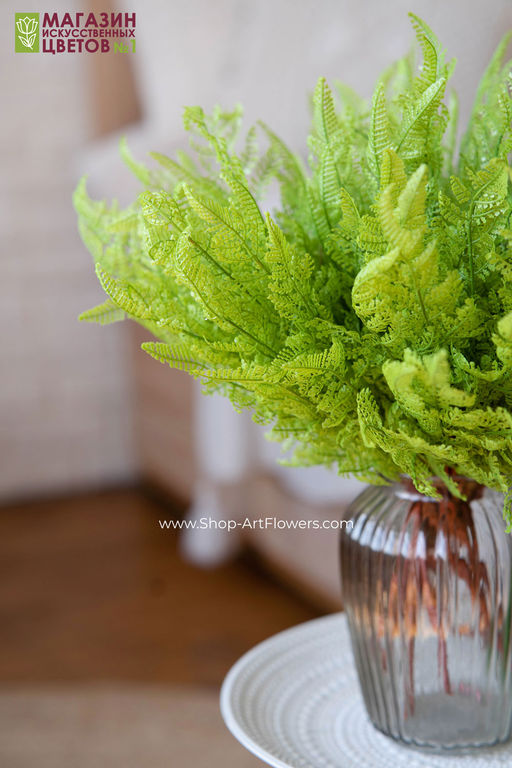 108 Папоротник - Без тм фото 4