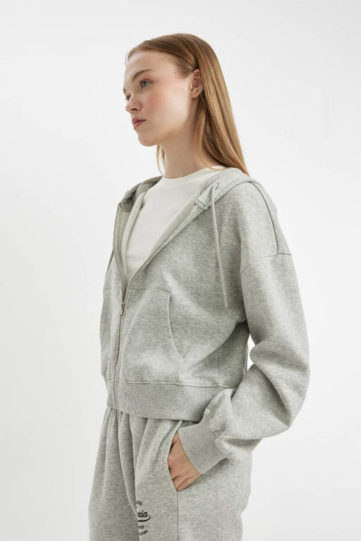 Толстовка Cool Standard Fit с капюшоном на молнии - Defacto фото 4