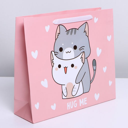 Цена за 2 шт. Пакет подарочный ламинированный, упаковка, «Киса», M 30×25.5×9 см