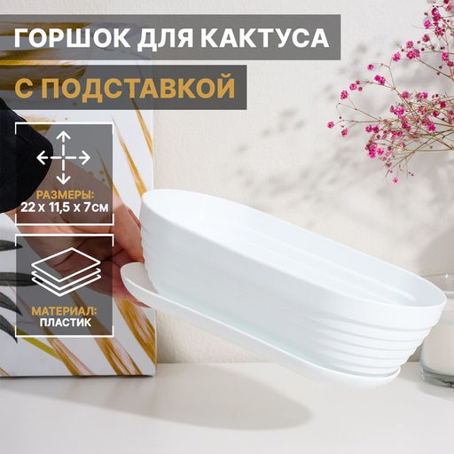 Цена за 2 шт. Горшок для кактуса с поддоном Алиса, 900 мл, пластиковый, белый