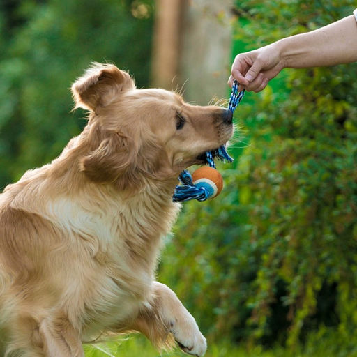 Игрушка тренировочная канатная с мячом, до 125 г, до 45 см, микс цветов - Пижон фото 6