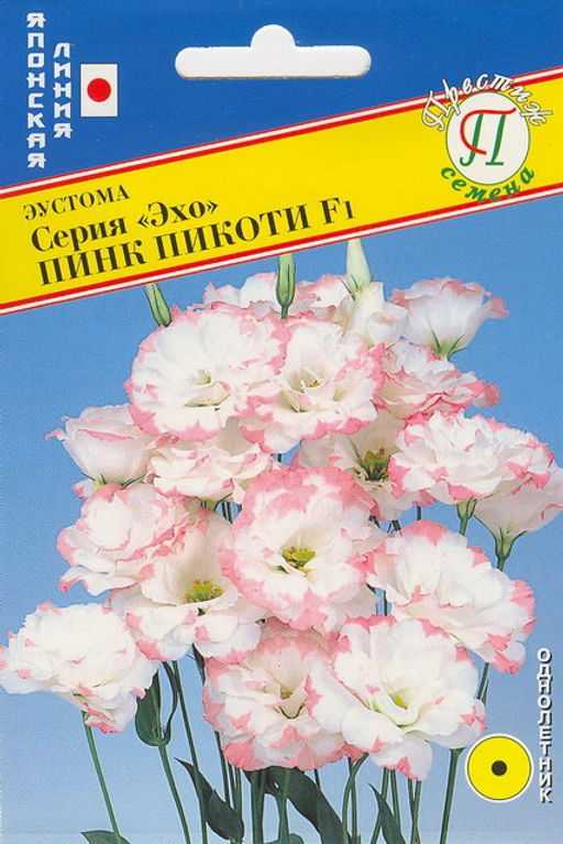 Эустома Эхо Пинк Пикоти F1 10шт. (Япония) (Престиж)