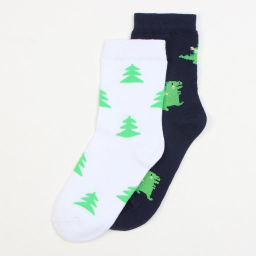 Набор детских носков KAFTAN «Дракоши» 2 пары, размер 18-20