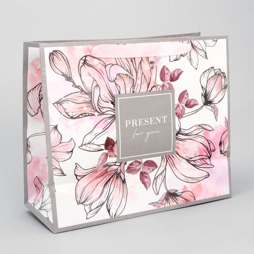Цена за 2 шт. Пакет подарочный ламинированный, упаковка, «Present for you», ML 27×23×11.5 см