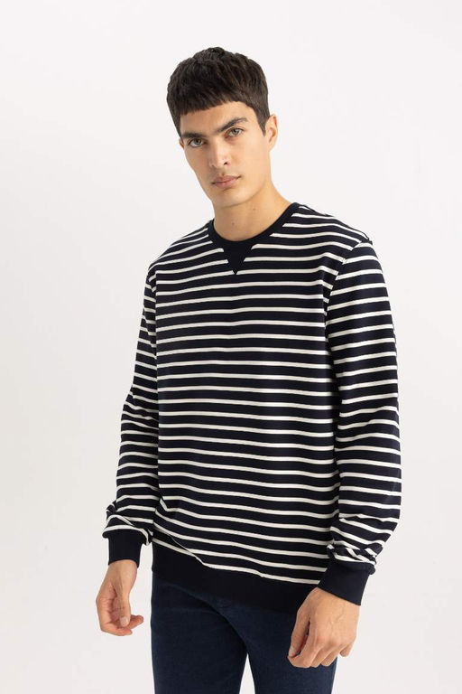 Толстовка в полоску Modern Fit с круглым вырезом - Defacto фото 3