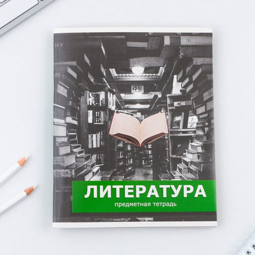 Предметная тетрадь, 48 листов, ПРЕДМЕТЫ, со справочными материалами Литература, обложка мелованный картон 230 гр., внутренний блок в линейку 80 гр., белизна до 80%, блок №2. - Artfox study фото 7