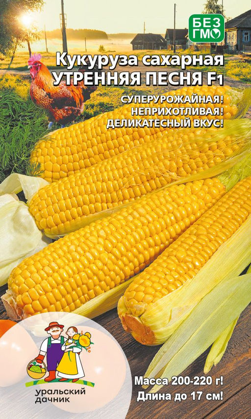 Кукуруза УТРЕННЯЯ ПЕСНЯ F1 Суперурожайная! Неприхотливая! Деликатесный вкус!