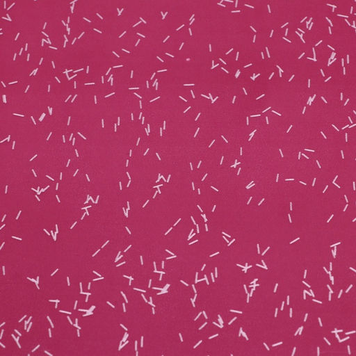 Цена за 20 шт. Пленка для цветов, Звёздное небо, винный, 57?571 см - UPAK LAND фото 3