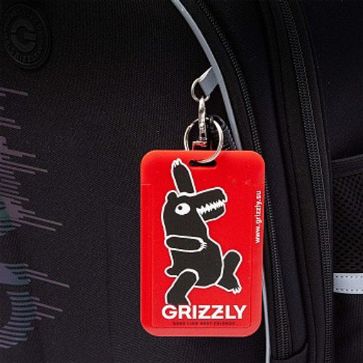 RAz-587-11 Рюкзак школьный - Grizzly фото 8