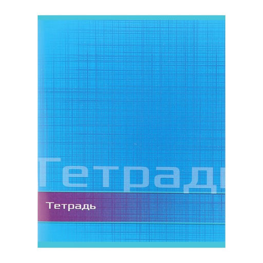 Тетрадь 48 листов в линейку Calligrata Цвет и графика, обложка мелованная бумага, блок №2, белизна 75% (серые листы), МИКС  фото 4