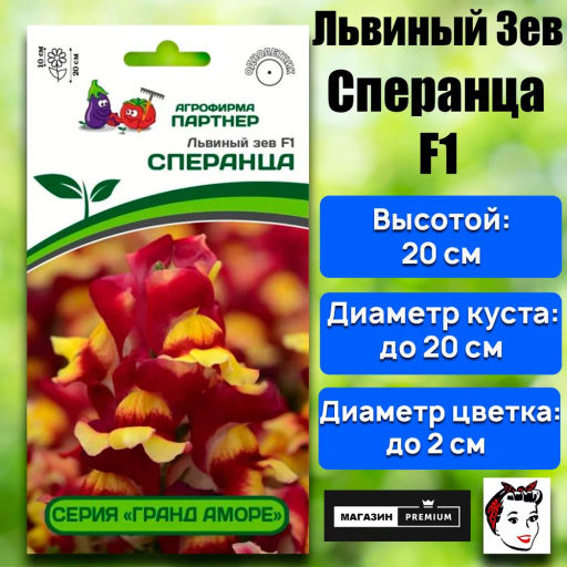 Львиный Зев низкорослый крупноцветковый Гранд Аморе Сперанца