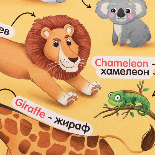 Обучающие плакаты Учим английский язык - Iq-zabiaka фото 6