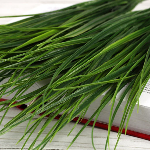 Цена за 10 шт. Зелень искусственный Осока Берграсс 37 см 7 веток / NT593 /уп 2/1500/ - Галеонтрейд фото 4