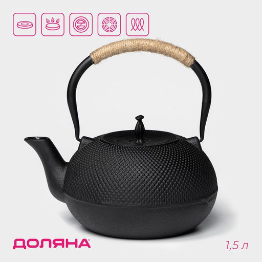 Чайник Доляна «Восточная ночь», 1.6 л, с ситом, индукция, чугун, чёрный