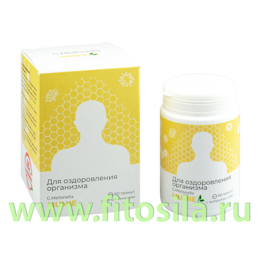 Галлерия меллонелла - МАКСИ (G.mellonella - MAXI) комплекс для глаз 60 гранул по 0,75 ЖИВА  фото 12