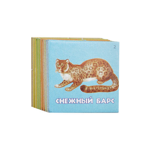 Лото "Живая география"