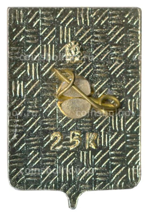 Значок Копейск