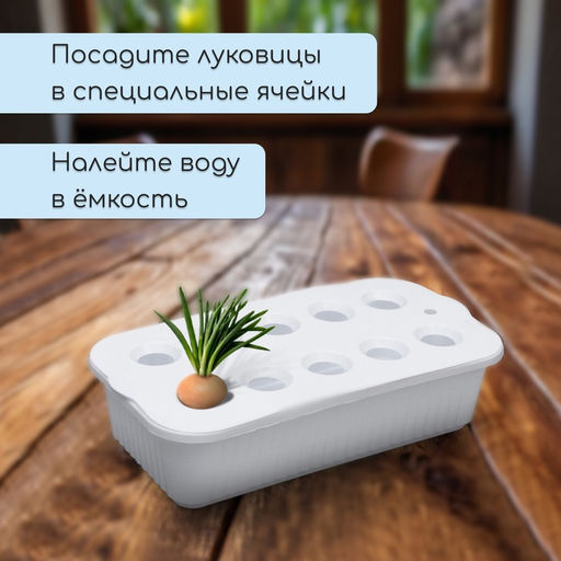 Цена за 2 шт. Ящик для выращивания зелёного лука, 29×16×8.5 см, 2.5 л, 10 лунок, пластик, белый, Greengo