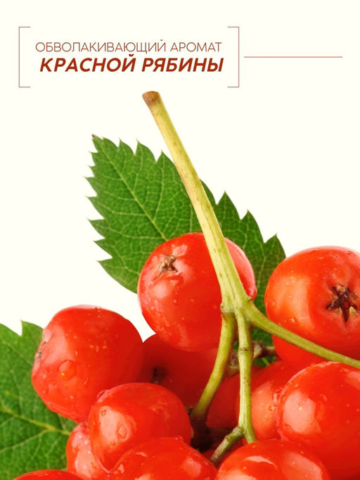 Шампунь для волос, молодость и объем, аромат рябины, 400 мл, Рябина