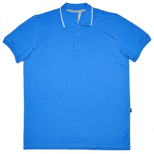 Рубашка-поло (Fayz-M), пике, голубой