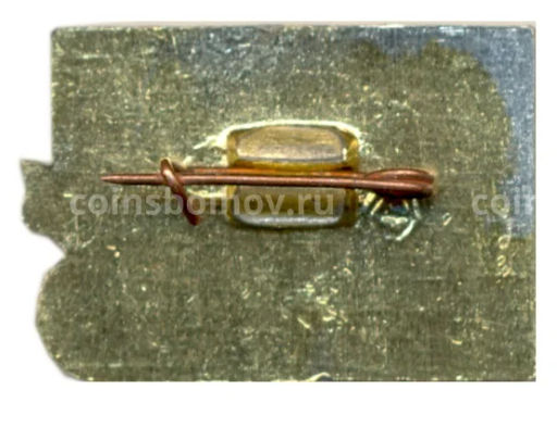 Значок СССР