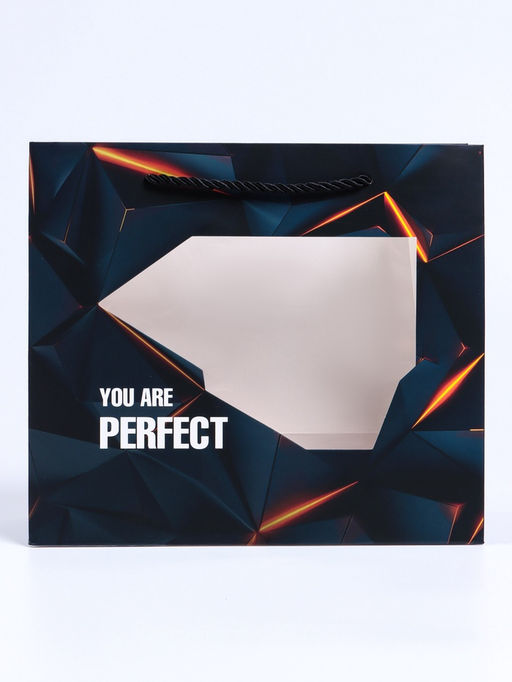 Цена за 2 шт. Пакет подарочный с окном Perfect, 25?10?22 см - UPAK LAND фото 3